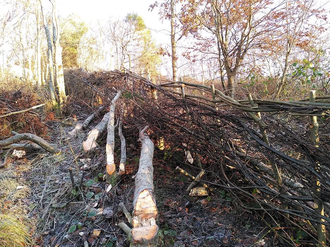 480284634_953573583532505_3845657949826562781_n